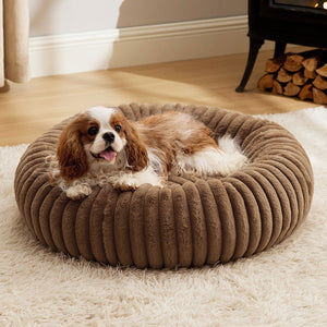 The Ultimate Cozy Haven for Your Furry Friends