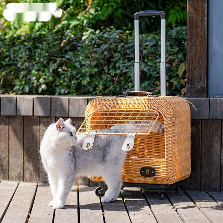 The Ultimate Portable Woven Rattan Pet Carrier