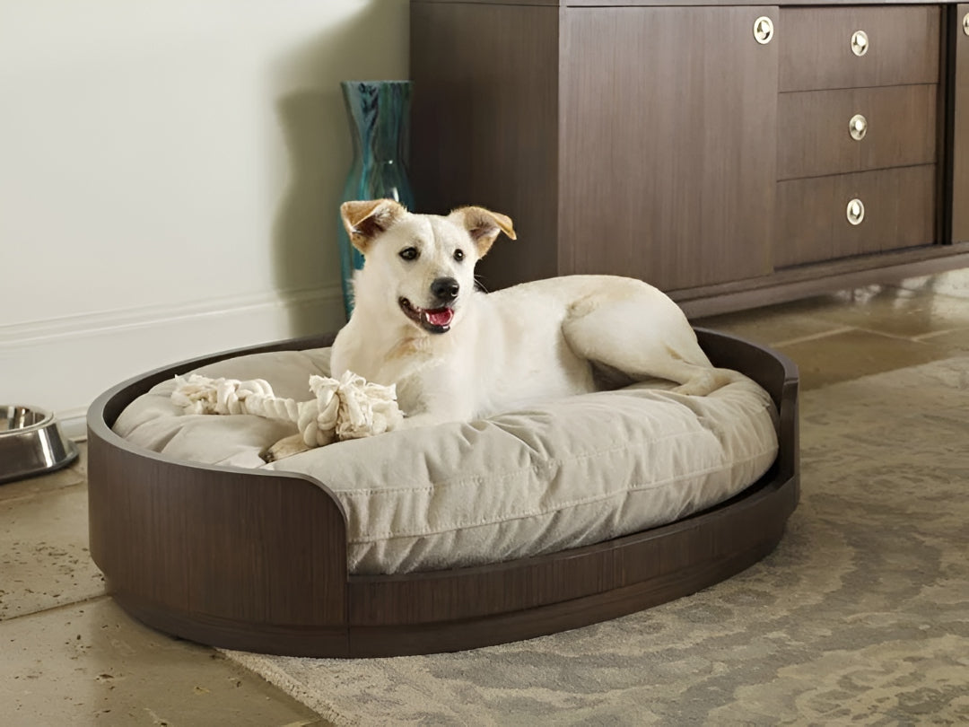 Choosing the Perfect Pet Bed for Better Rest